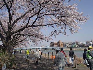 明治橋近くの公園 明治橋近くの公園